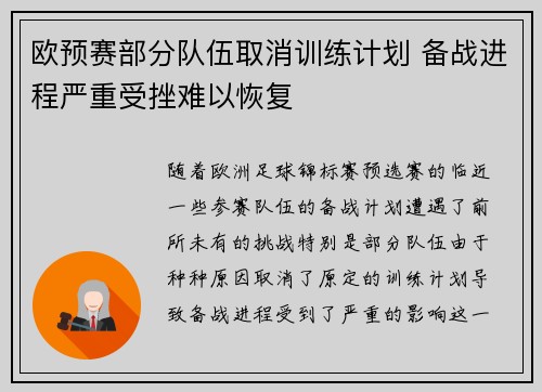 欧预赛部分队伍取消训练计划 备战进程严重受挫难以恢复